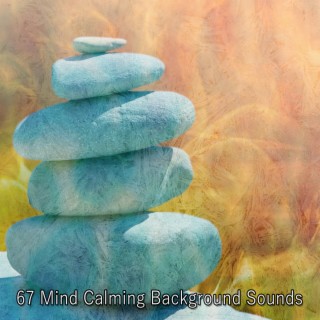 67 Mind Calming Background Sounds