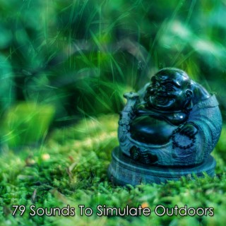 79 Sounds To Simulate Outdoors