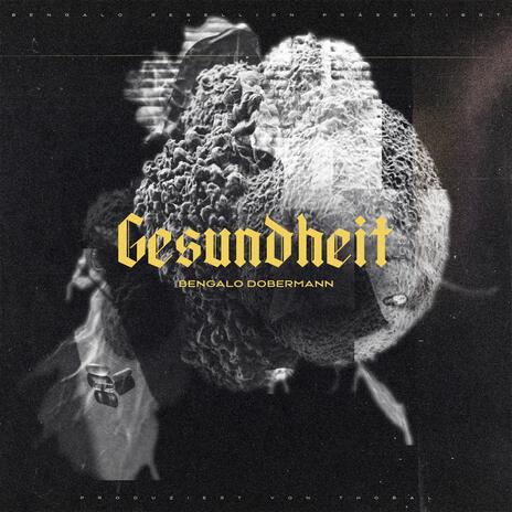 Gesundheit | Boomplay Music