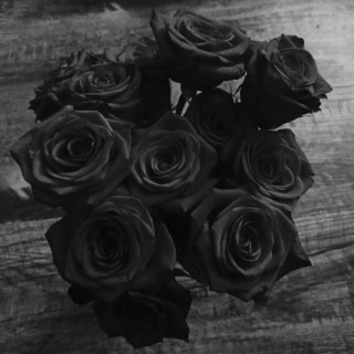 Black Roses