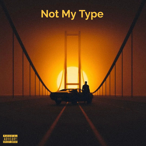 Not My Type | Boomplay Music