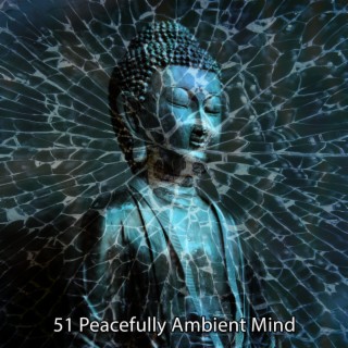 51 Peacefully Ambient Mind