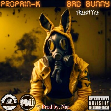 Bad bunny freestyle | Boomplay Music