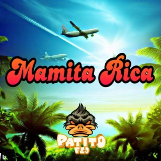 Mamita Rica ft. Tonero El Muziskary lyrics | Boomplay Music