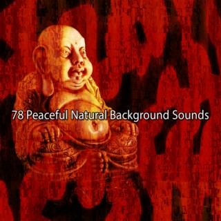 78 Peaceful Natural Background Sounds