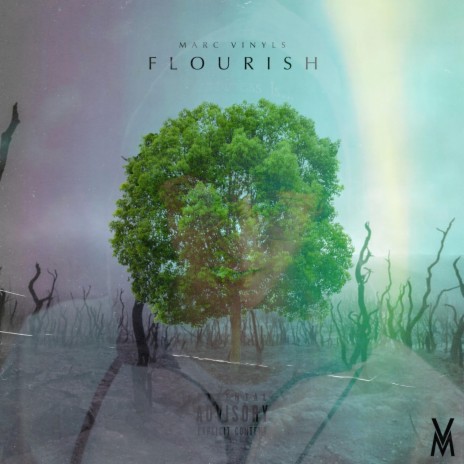 Flourish | Boomplay Music