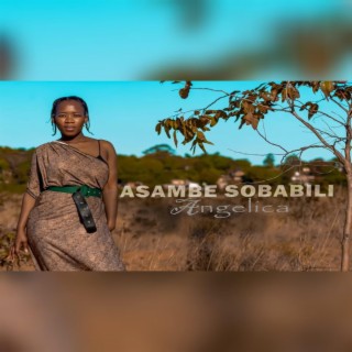 Asambe Sobabili ft. DJ AB lyrics | Boomplay Music