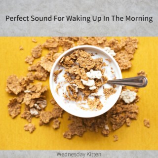 Perfect Sound For Waking Up In The Morning