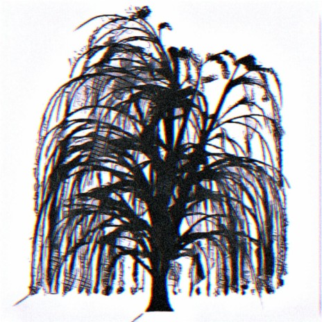 weeping willow ft. Rachel Escobar | Boomplay Music