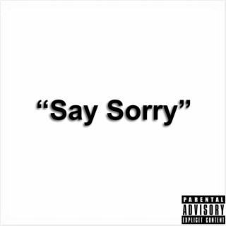 Say Sorry