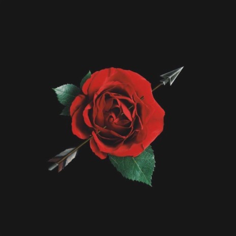 Roses (R&B Intrumental) | Boomplay Music