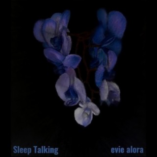 Sleep Talking