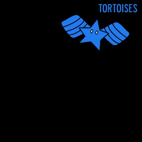 tortoises | Boomplay Music