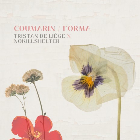 Coumarin ft. NoKillShelter | Boomplay Music