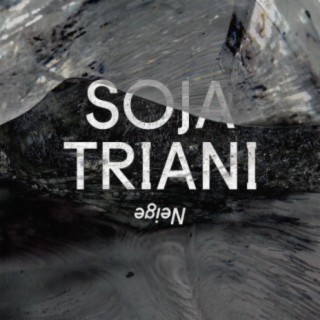 Soja Triani