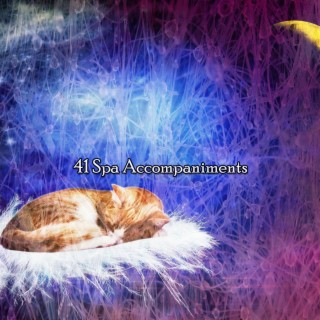 41 Accompagnements Spa
