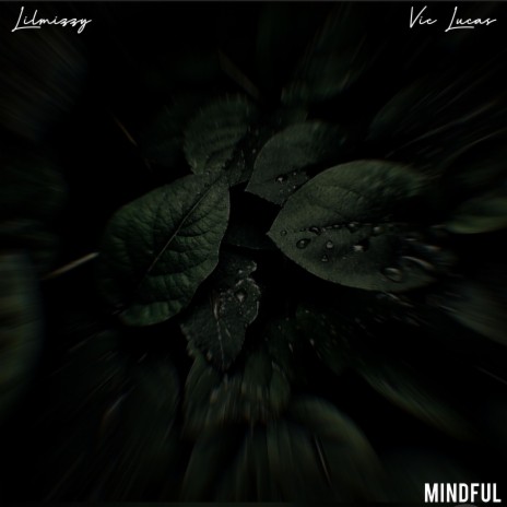 MINDFUL ft. Vic Lucas | Boomplay Music