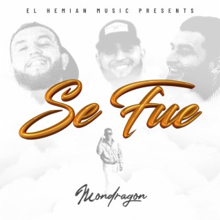 Se Fue lyrics | Boomplay Music