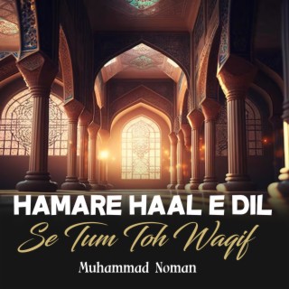 Hamare Haal e Dil Se Tum Toh Waqif