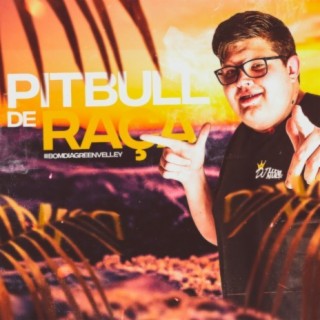 Mega Funk - Pitbull De Raça