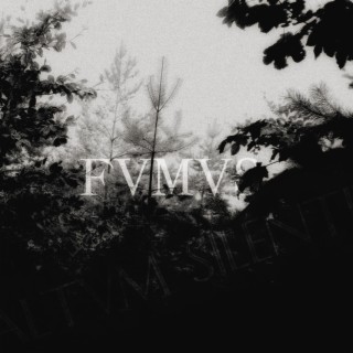 FVMVS (demo version) lyrics | Boomplay Music
