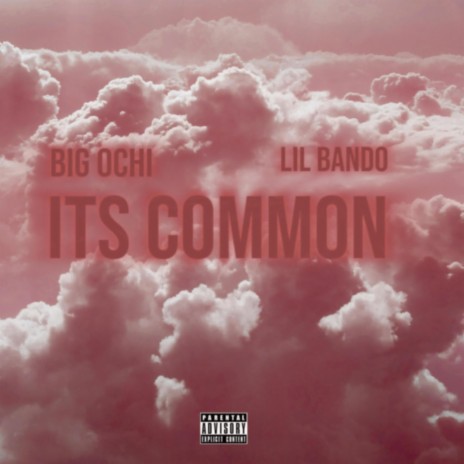 Its Common (freestyle) ft. Big Ochi