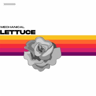 Mechanical Lettuce