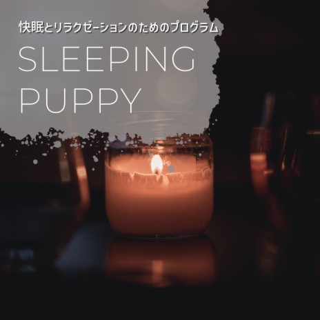 Music for My Sleep | Boomplay Music