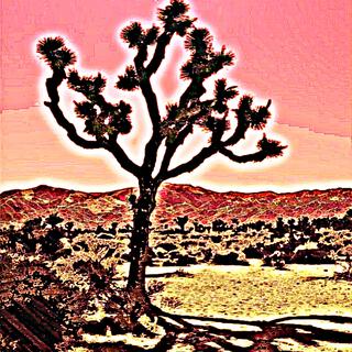 Joshua Tree