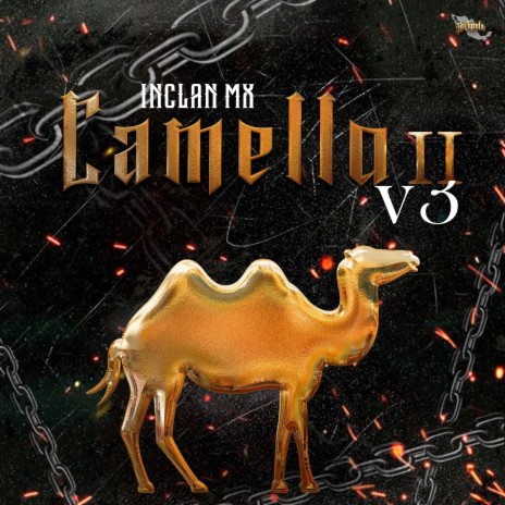 Camello II V3