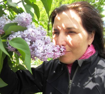 How to Grow a More Fragrant Lilac this Spring