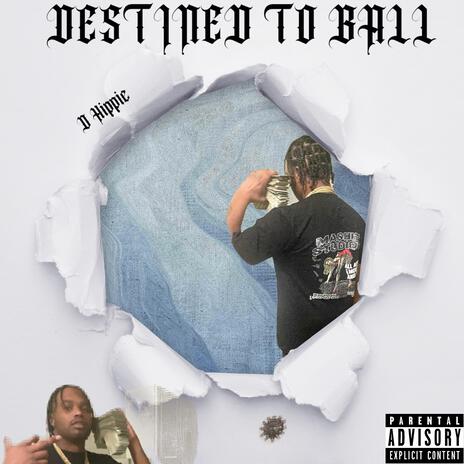 Destined To Ball | Boomplay Music