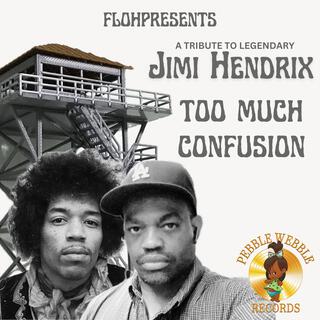 TOO MUCH CONFUSION (TRIBUTE TO JIMI HENDRIX)