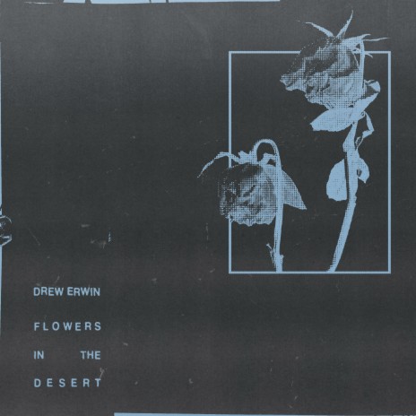 Flowers in the Desert | Boomplay Music