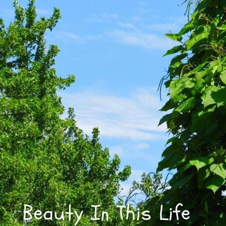 beauty in this life (Slowed down) | Boomplay Music