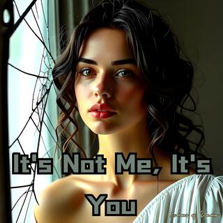 It's Not Me, It's You lyrics | Boomplay Music