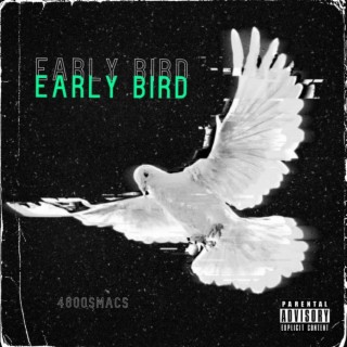 Early Bird