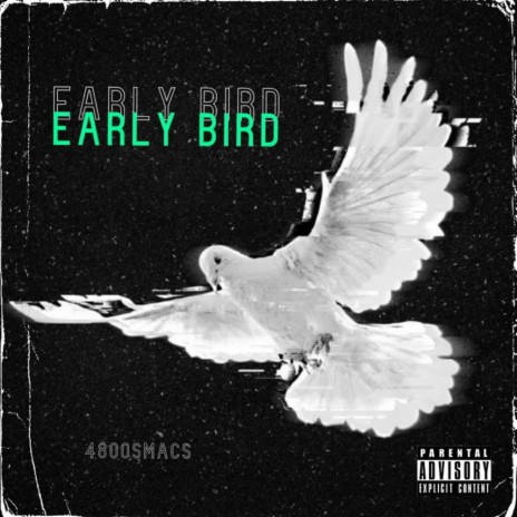 Early Bird | Boomplay Music