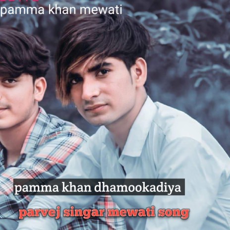 Parvej Singar Mewati Song | Boomplay Music