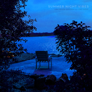 Summer Night Vibes