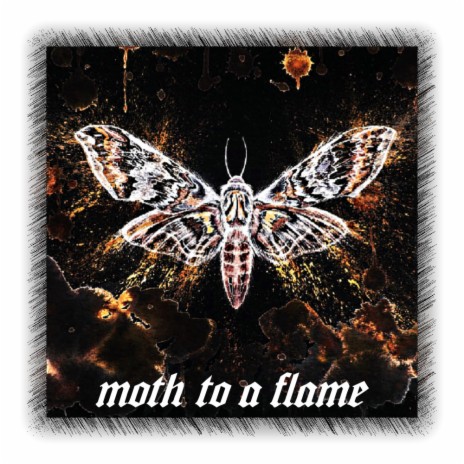 Moth To A Flame | Boomplay Music