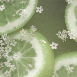 elderflower lemonade