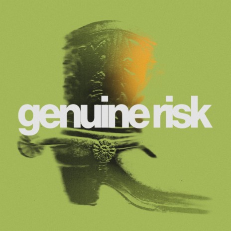 Genuine Risk | Boomplay Music