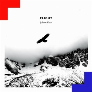 Flight