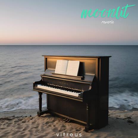 Moonlit Reverie | Boomplay Music