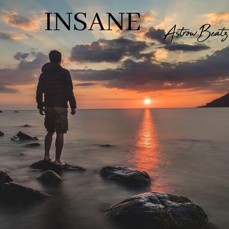 Insane | Boomplay Music