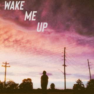 WAKE ME UP lyrics | Boomplay Music