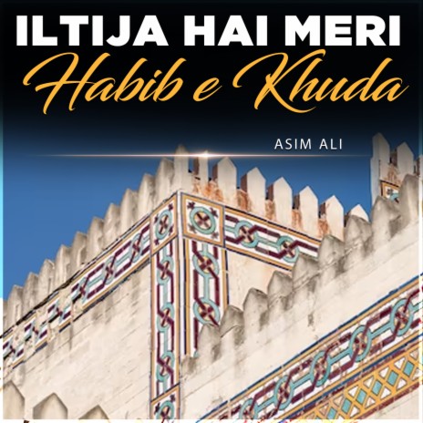 Iltija Hai Meri Habib e Khuda | Boomplay Music