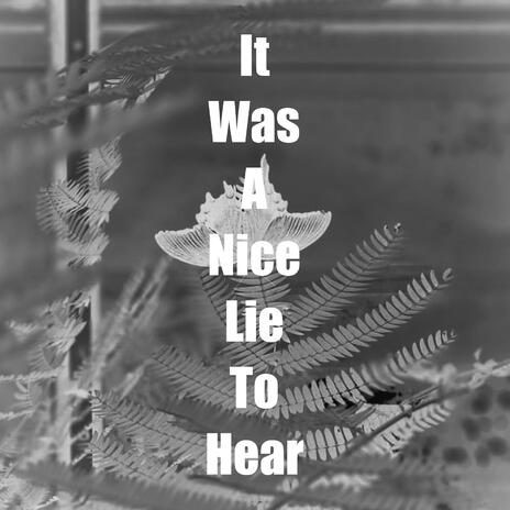 It Was A Nice Lie To Hear | Boomplay Music