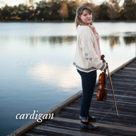 Cardigan (Special Violin Cover) (Remastered 2022) | Boomplay Music